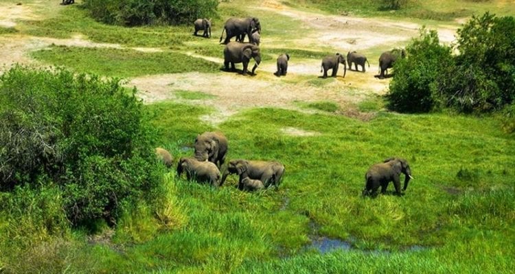 Why Visit Akagera National Park.