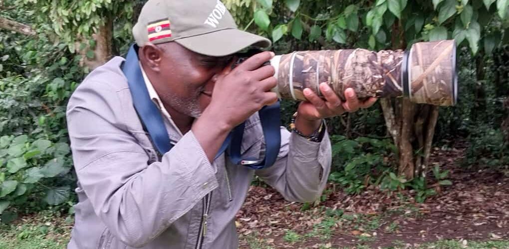 10 Days Rwanda Bird Watching and Primate Safari