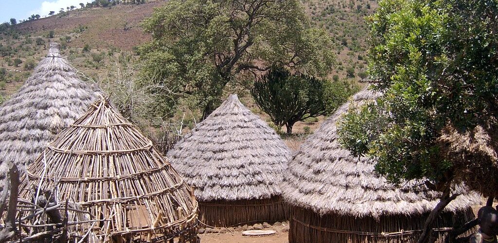 2545169960_d098290d60_b