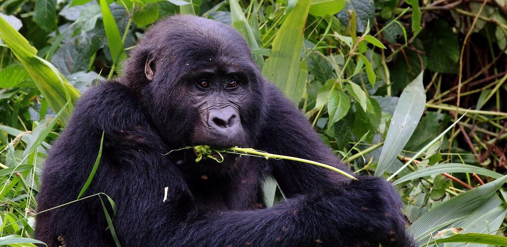 36788177993_f038727161_b 36788177993_f038727161_b