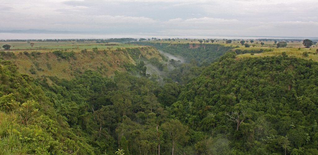 4209614084_f5ba702681_b 4209614084_f5ba702681_b