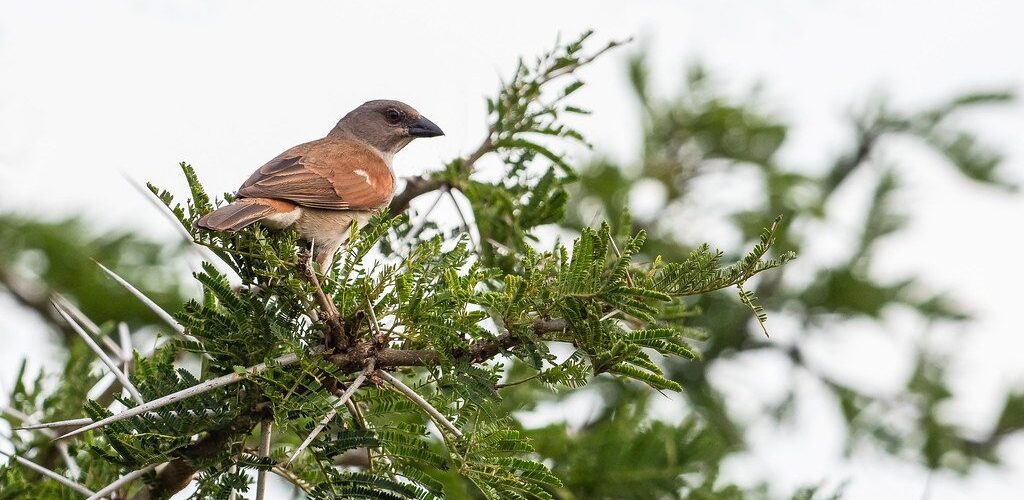 45007641374_1603f8c173_b 45007641374_1603f8c173_b