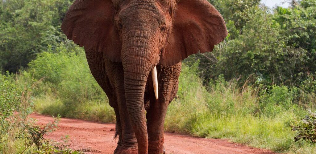 49721203517_4aa3778d55_b