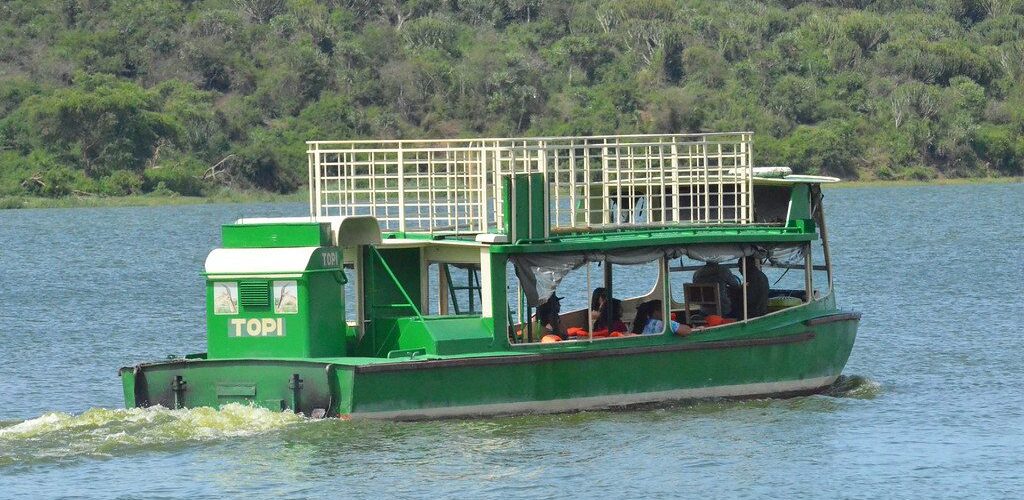 50018966368_ca30c8136f_b