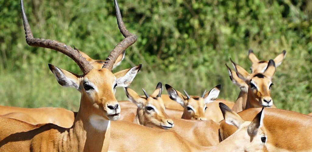 52895051099_4d1d7b788a_b 52895051099_4d1d7b788a_b