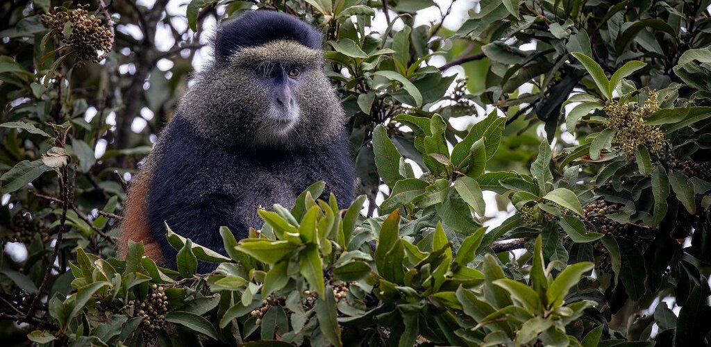 53071422452_7ae843f08f_b 53071422452_7ae843f08f_b