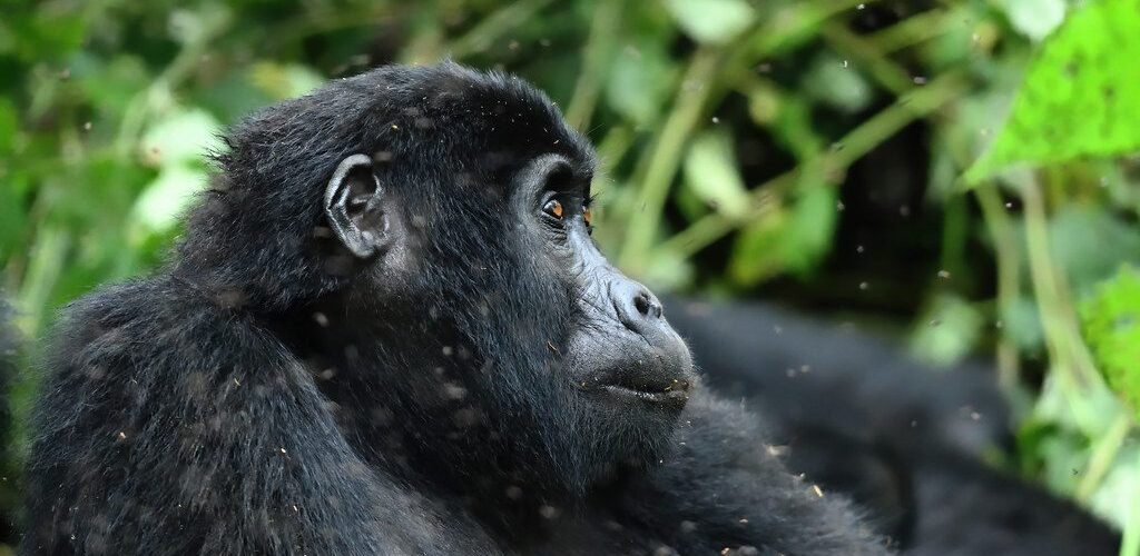 53197980636_8cfed82aac_b 53197980636_8cfed82aac_b