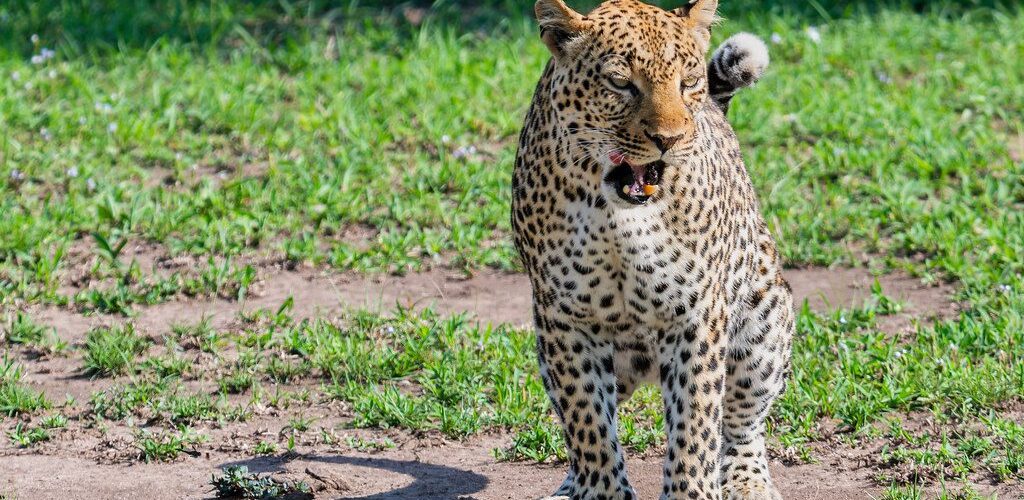 53310884714_cb5bb9690a_b