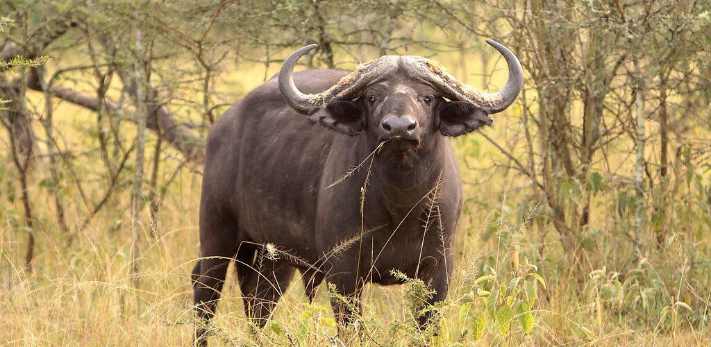 6250630814_8b05251938_b