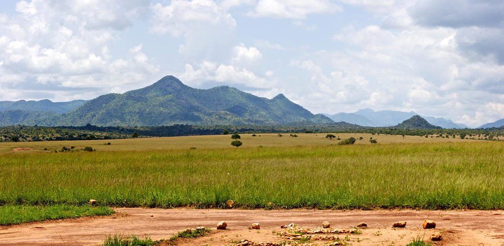 8041145012_6305cd10ff_b