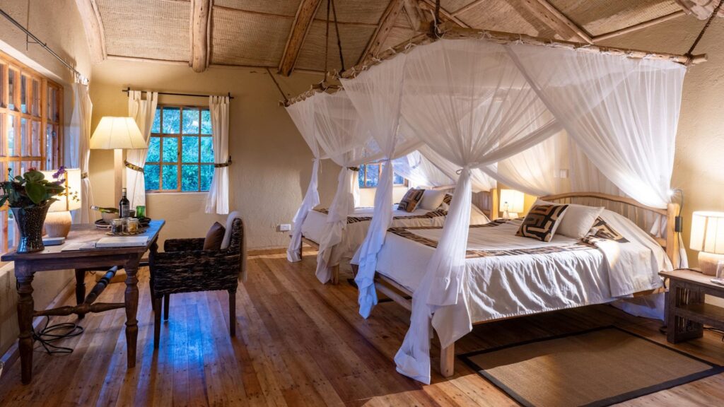 Where to stay near Gishwati Mukura National Park
