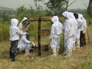 Beekeeping Agrotourism