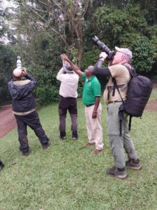 Birding in Nyungwe Forest National Park