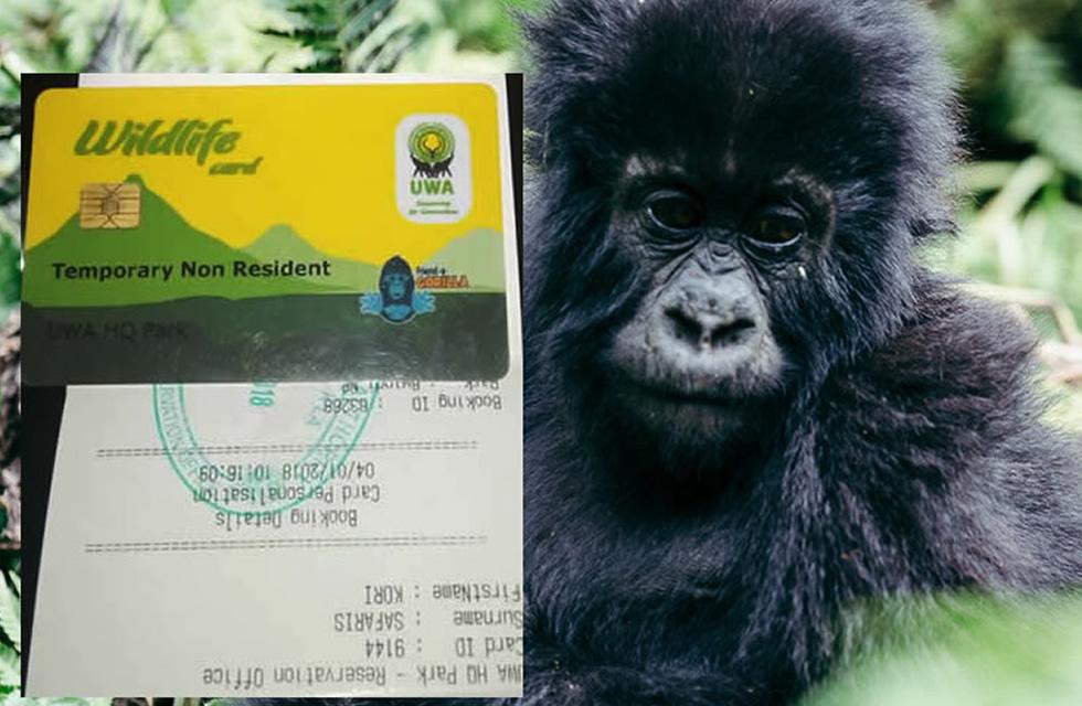 Booking gorilla trekking permits