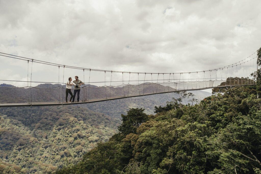 Canopy Walkway rwanda