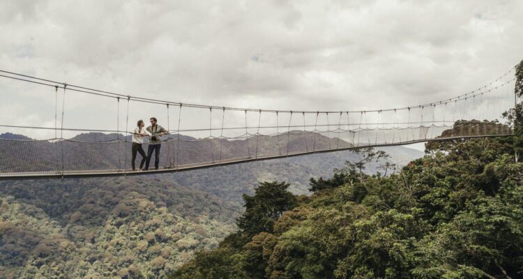 Canopy Walkway Rwanda