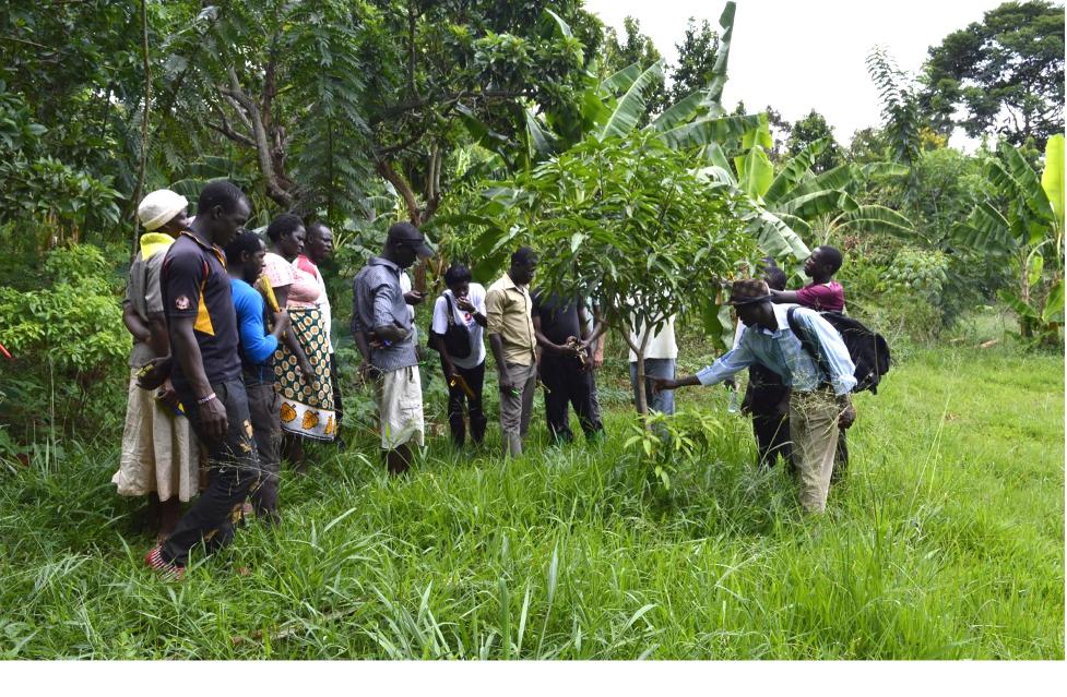 Community training on pangolin protection