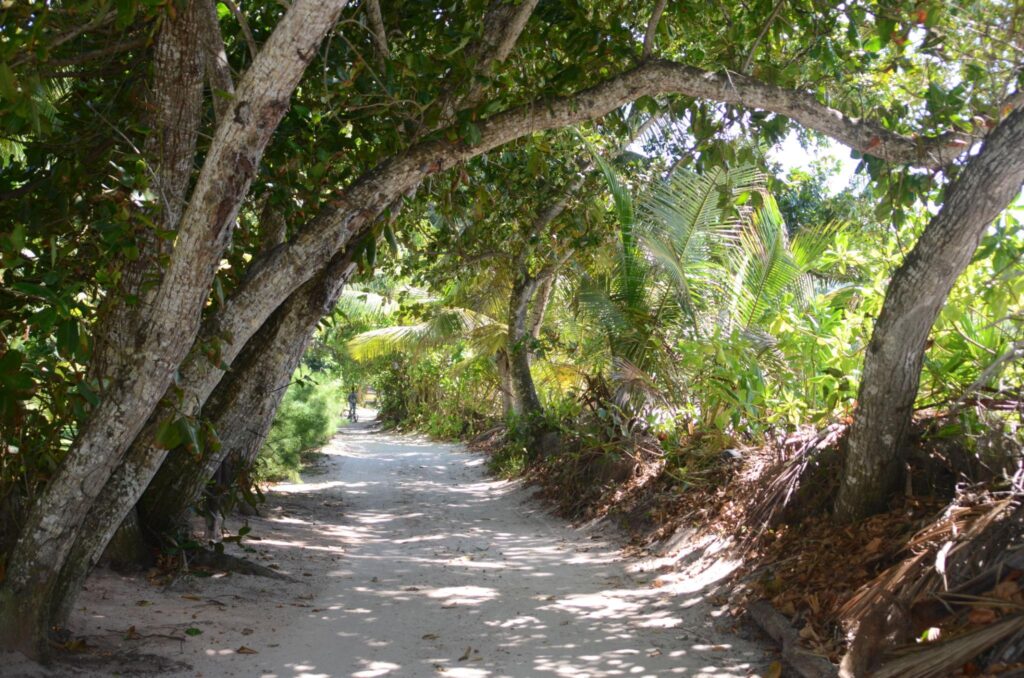 Cultural Tour in La Digue