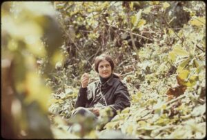 Dian Fossey