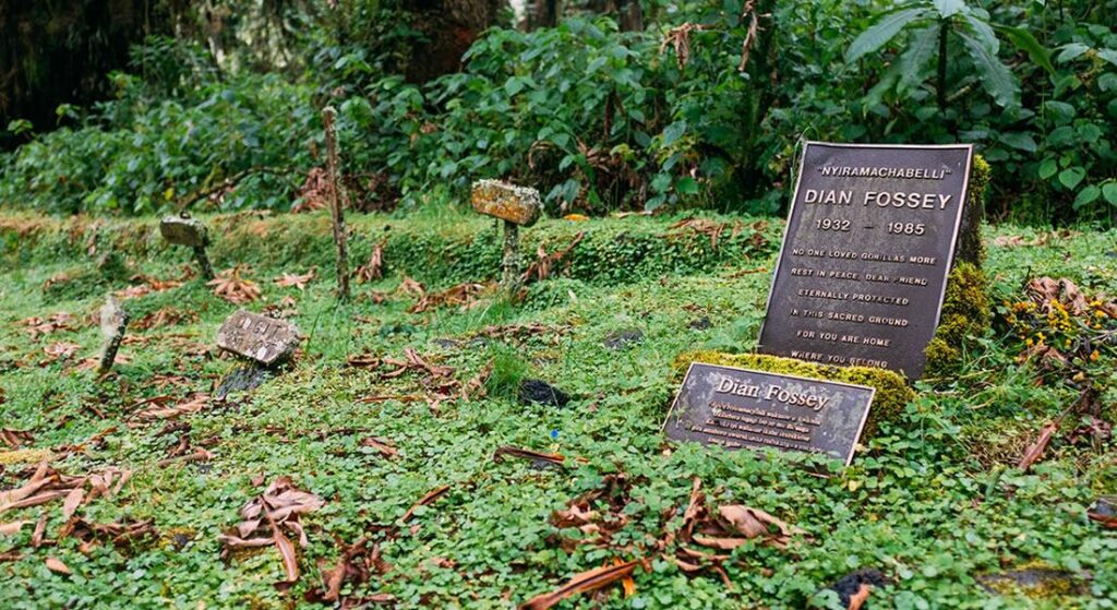 Dian Fossey Tomb and Karisoke Research Centre Hike