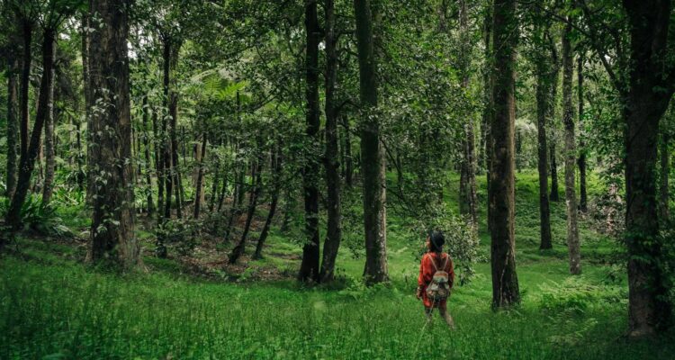 Enjoying Travel Without Screens
