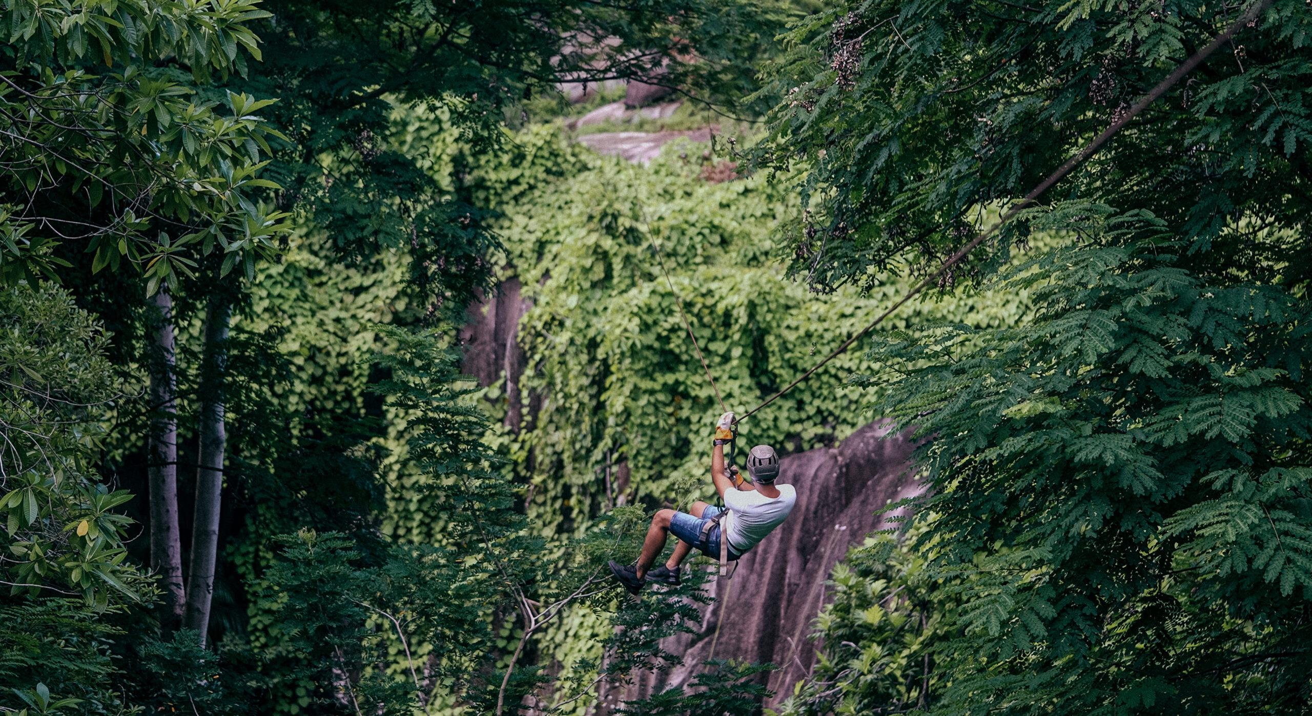 Forest zipline experience