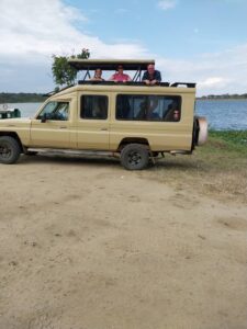 Game drive and Kazinga Channel boat cruise in Queen Elizabeth National Park