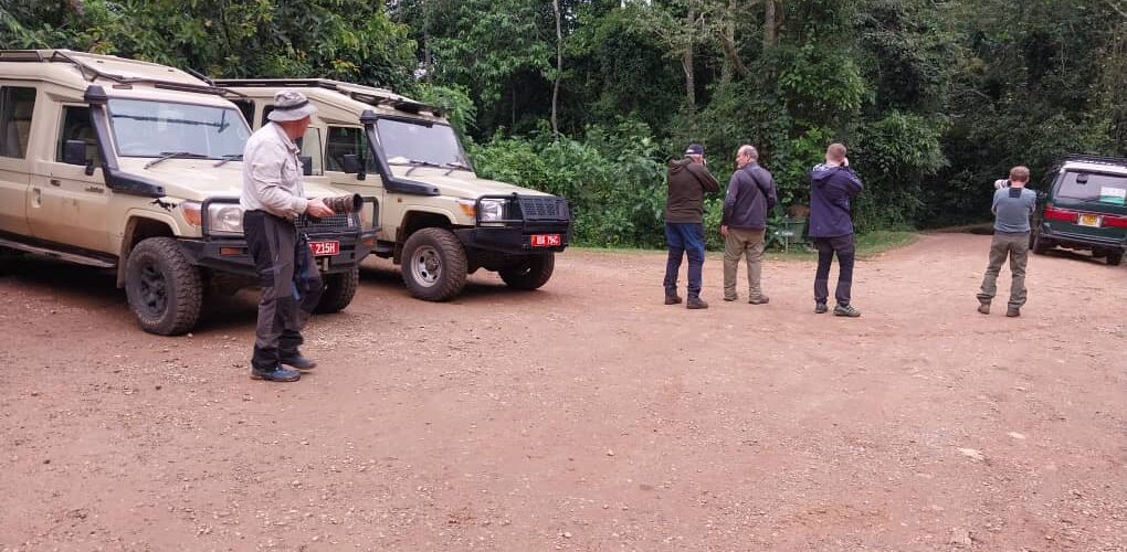 Gorilla Trekking in Bwindi Impenetrable National Park Gorilla Trekking in Bwindi Impenetrable National Park