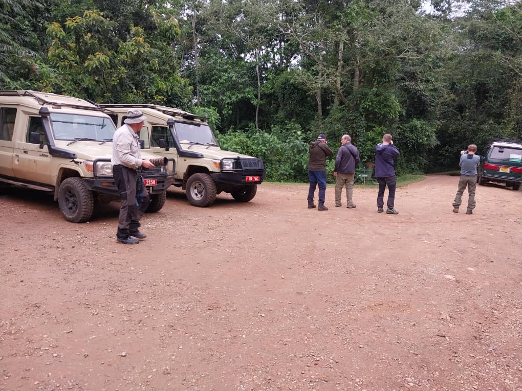 Gorilla Trekking in Bwindi Impenetrable National Park