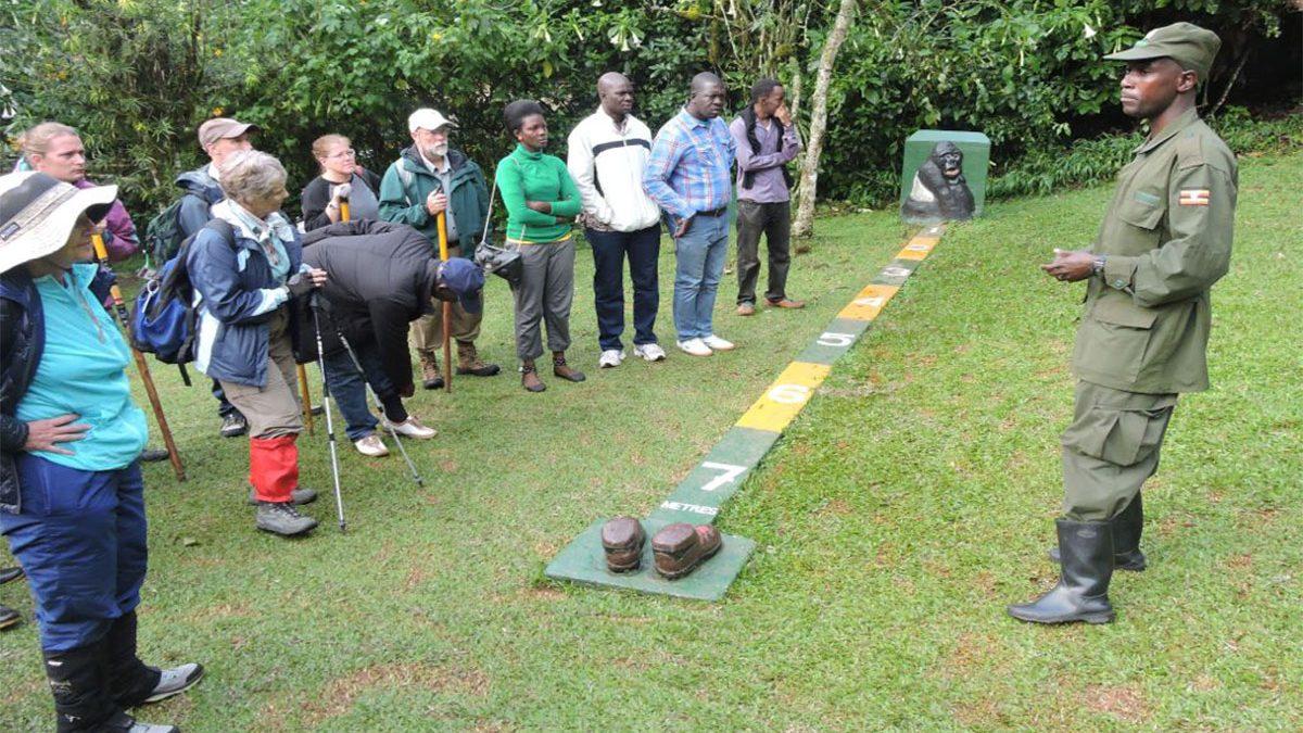 Gorilla habituation briefing