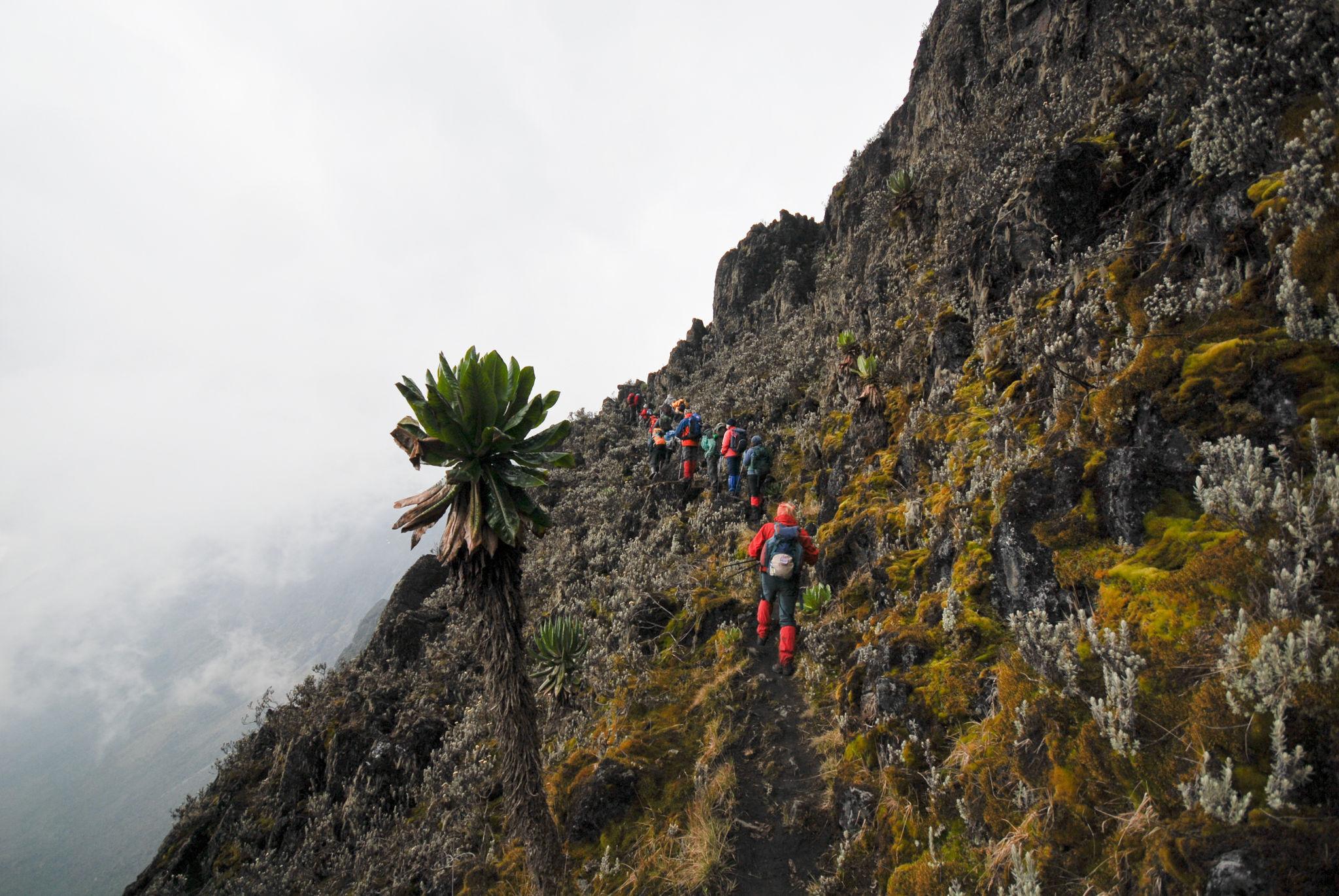 Hiking in Rwenzori Mountains Uganda