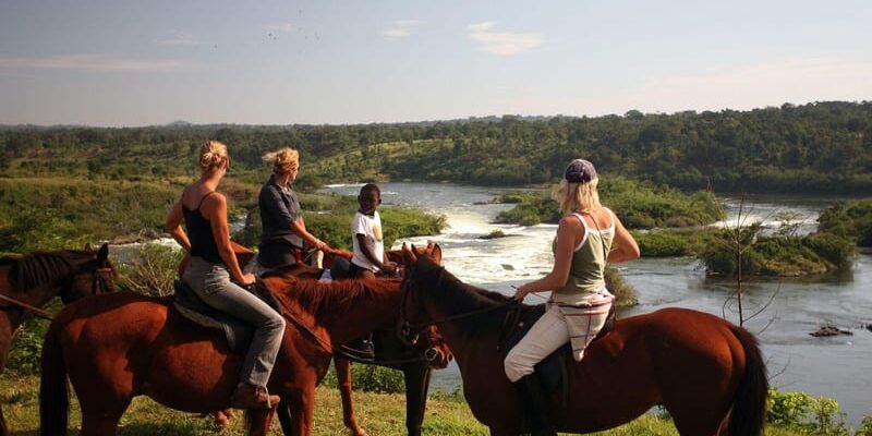 Horse ride safari