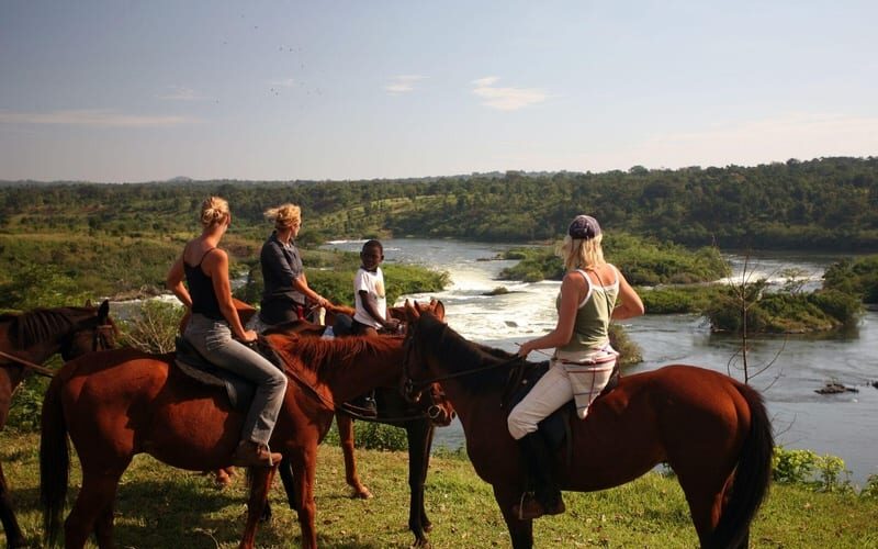 Horse ride safari Horse ride safari