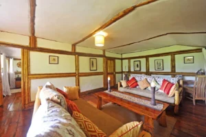In-Room Comfort and Features