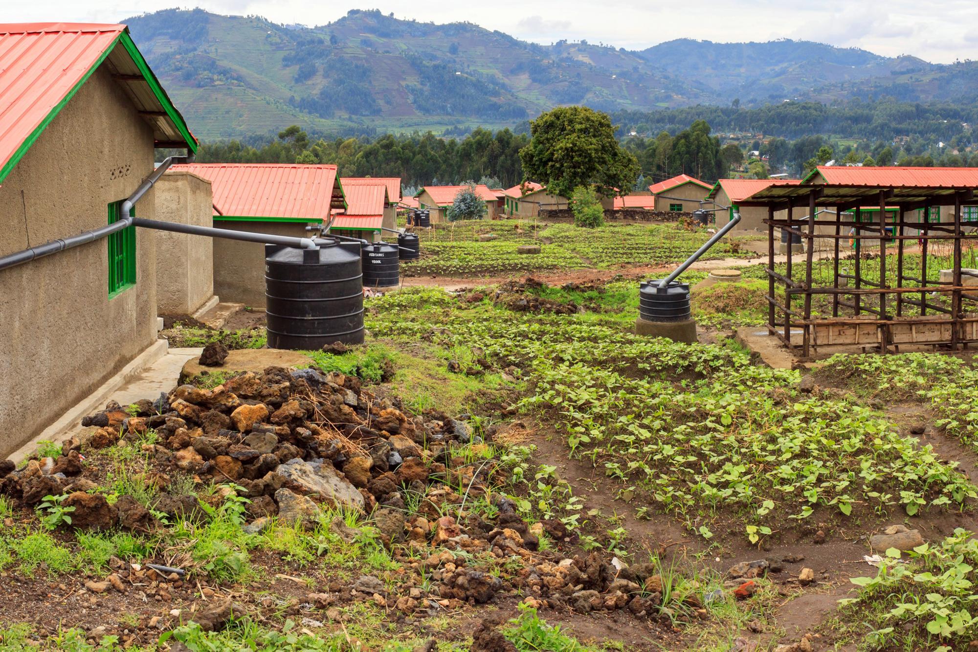 Katende Harambe Agro Farm Uganda