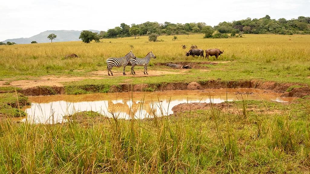Kigezi Landscape and Rift Valley Scenery
