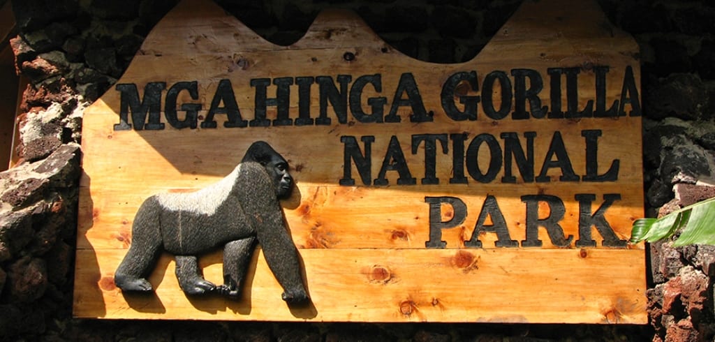 3 days gorilla tracking Mgahinga park 