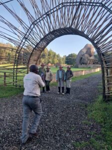 Morning game drive in Akagera