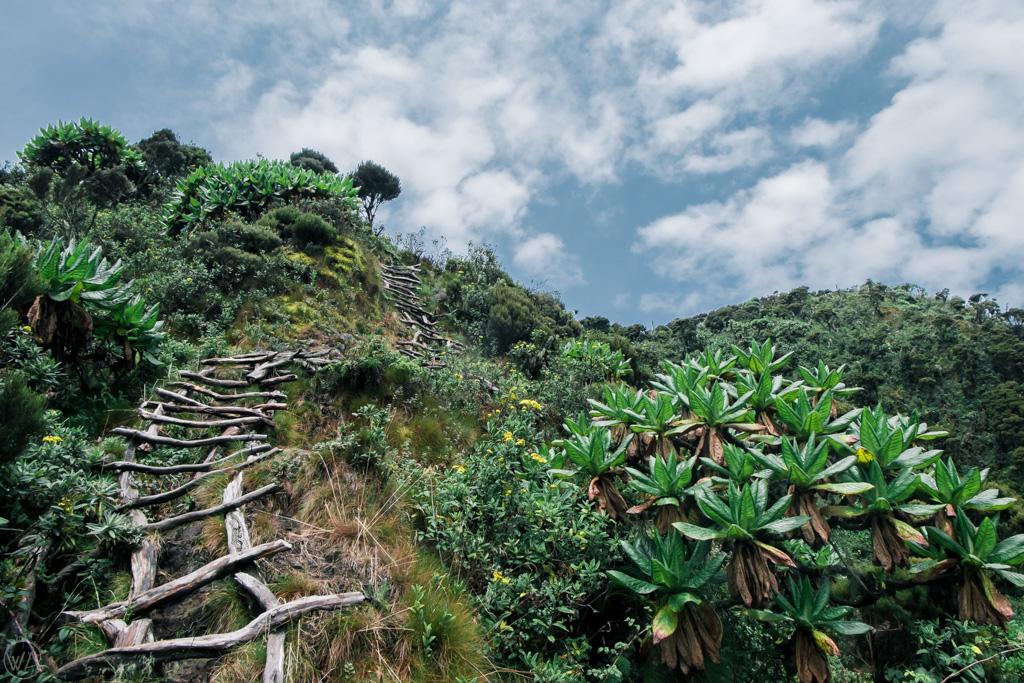 Mount Sabyinyo in Uganda