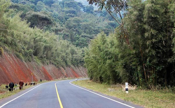 Road to Bwindi 