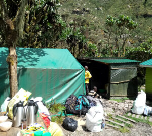 Sine Camp to Mutinda Camp Rwenzori Hike