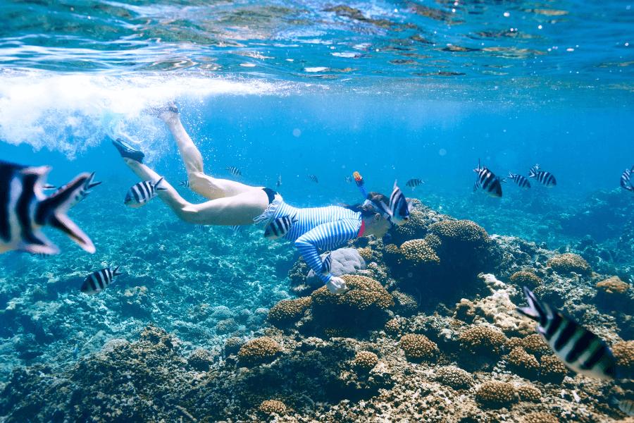 Snorkelling over coral reefs in Seychelles