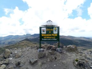 Summit Wagagai Peak