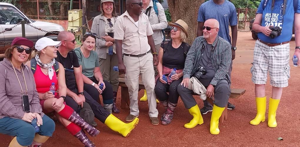 Transfer from Kigali to Volcanoes National Park