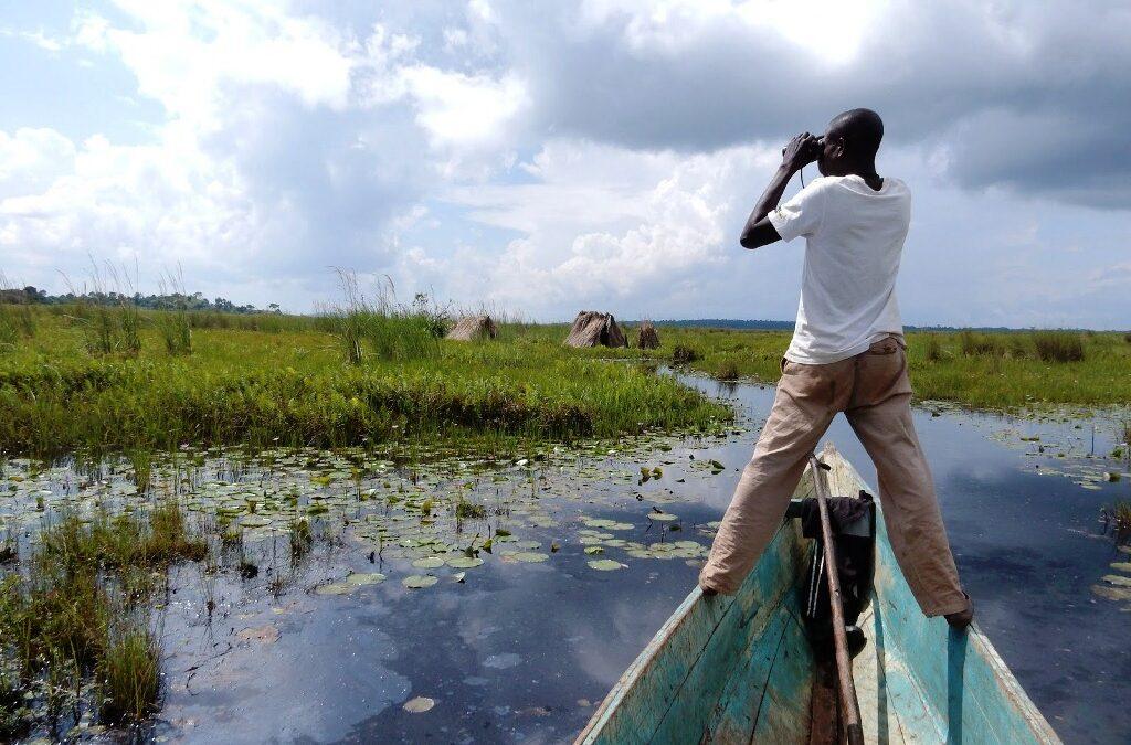 Wetland wildlife viewing during canoe trip in Katonga