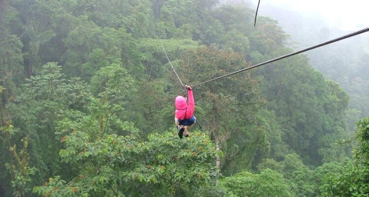 Zip Lining Above Mabira Forest Canopy