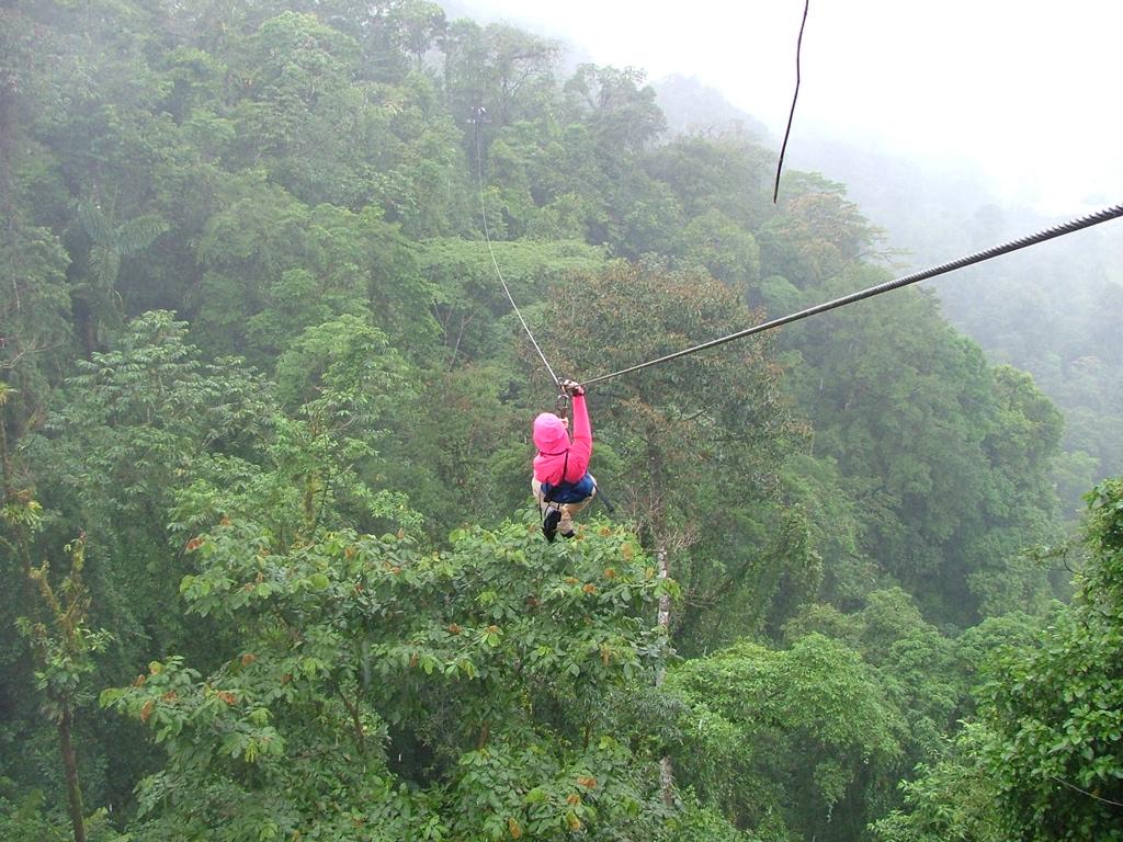 Zip lining above Mabira Forest canopy