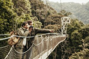 canopy walk in nyungwe