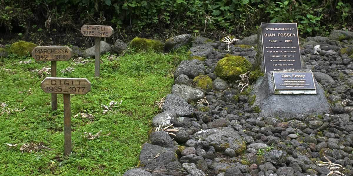 Dain Fossey Tombs Trek 